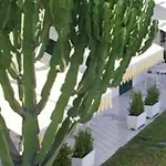 Bellevue Benessere & Relax 4* Ischia