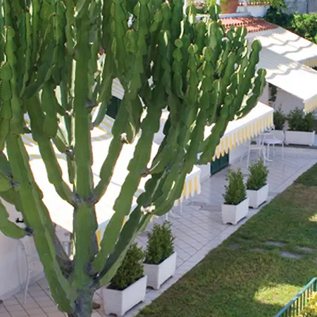 Bellevue Benessere & Relax Otel Ischia